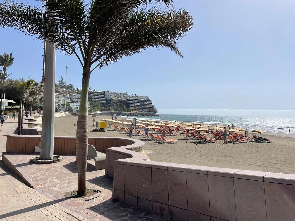 San Agustin Seaview Blue Apartment 마스팔로마스