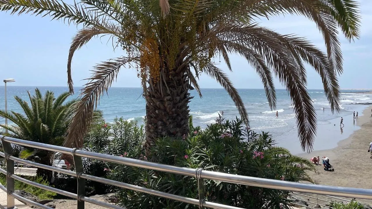 San Agustin Seaview Blue Apartment Maspalomas   Maspalomas (Gran Canaria)