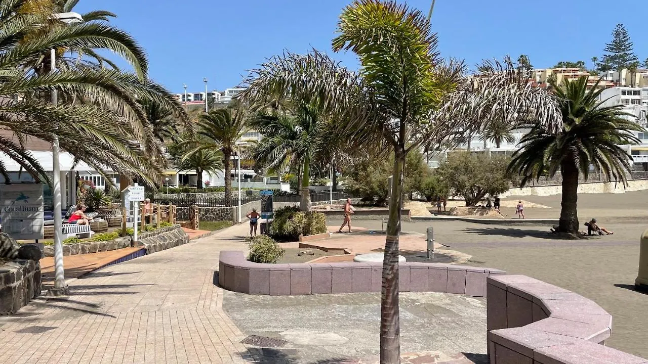 San Agustin Seaview Blue Apartment Maspalomas  0*, Maspalomas (Gran Canaria)